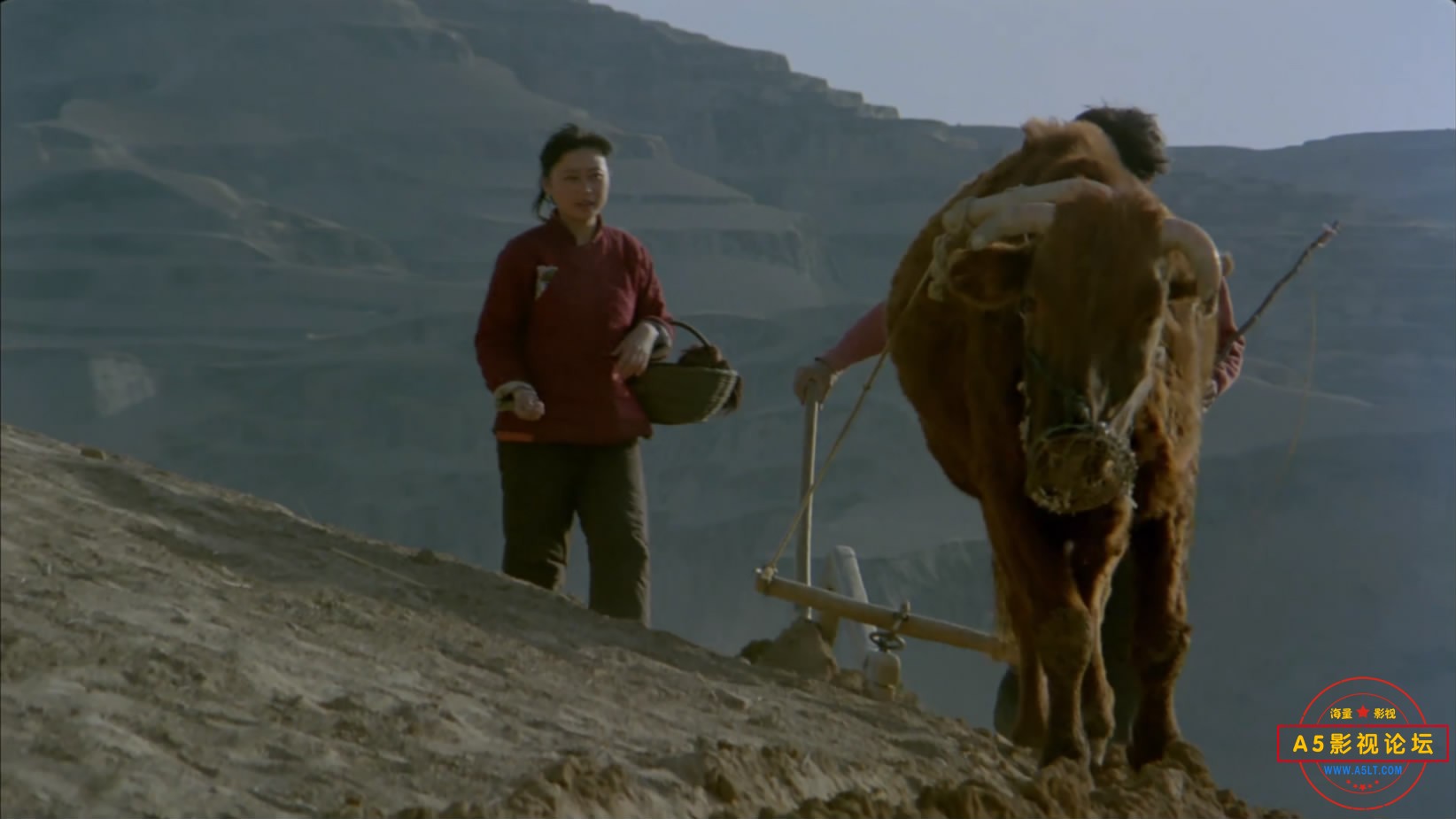 黄河在这儿转了个弯[00_43_04][20221113-154047-5].JPG