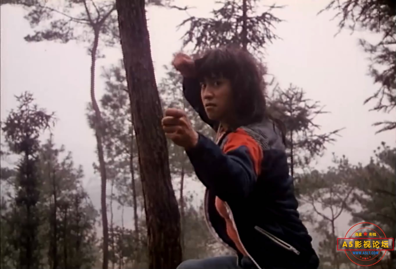 《峨眉飞盗》（峨影1985）W[00_43_26][20221203-223549-5].JPG