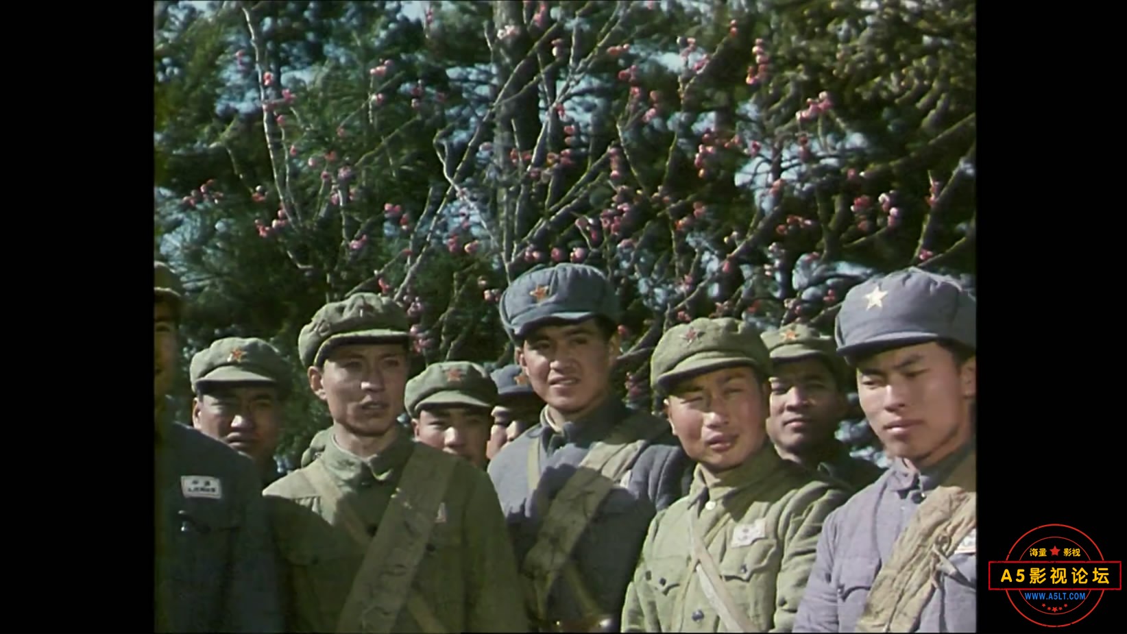 《挺进中原》（峨影1979）W[01_11_20][20221204-104916-8].JPG