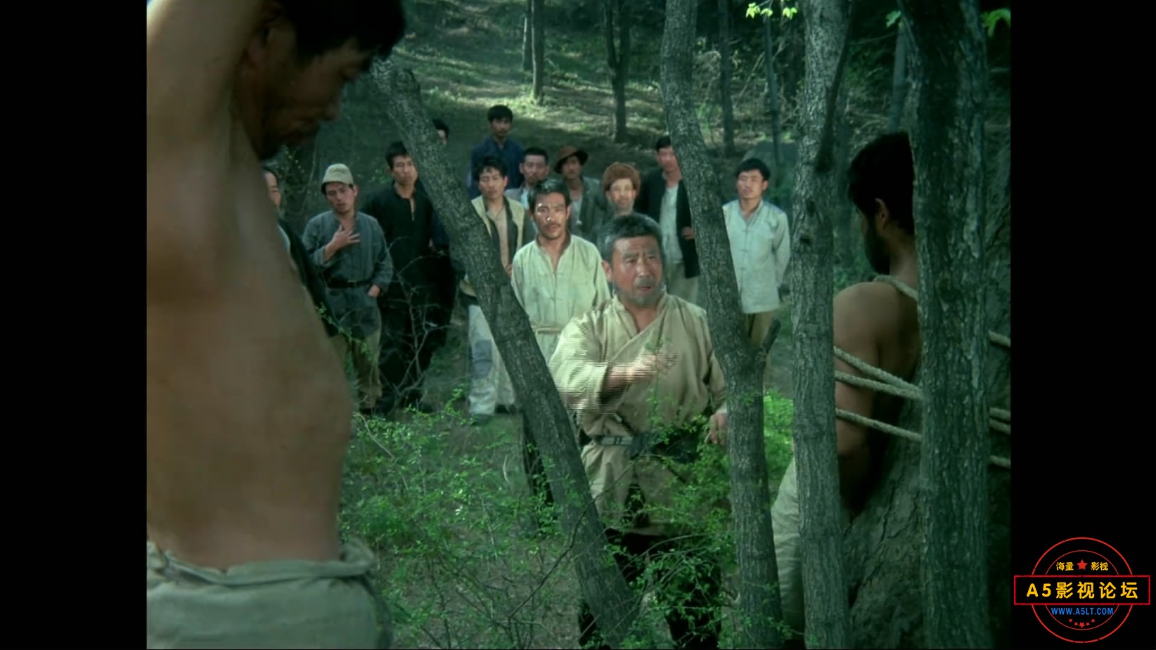 《归心似箭》（八一1979）W[00_30_28][20221204-203624-6].JPG