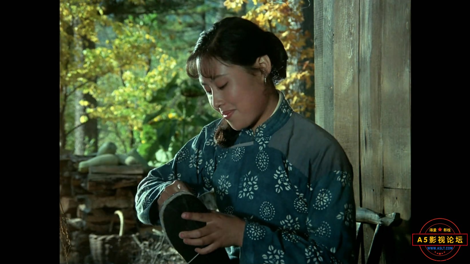 《归心似箭》（八一1979）W[01_09_48][20221204-203801-1].JPG