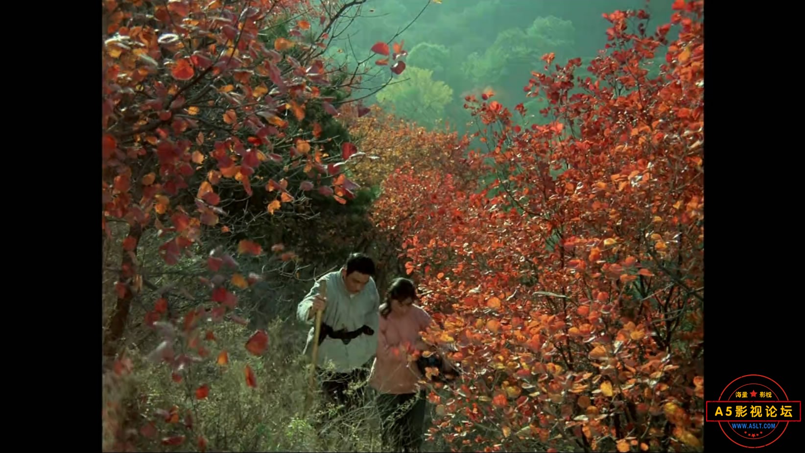 《归心似箭》（八一1979）W[01_35_39][20221204-203933-7].JPG