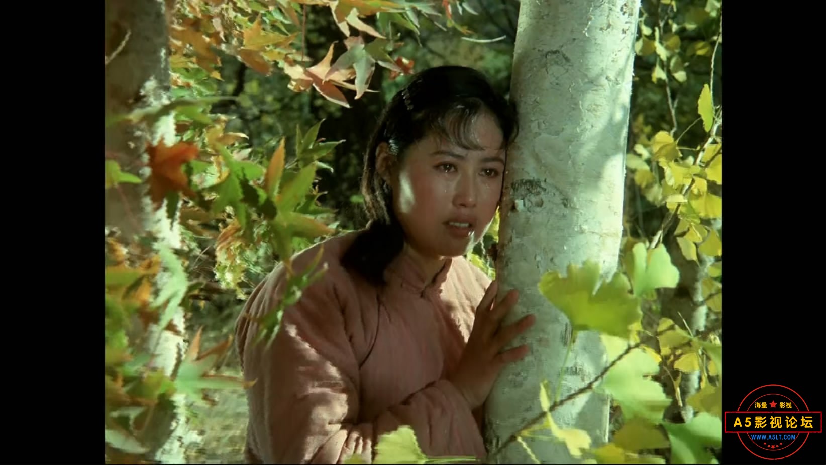 《归心似箭》（八一1979）W[01_37_52][20221204-204004-9].JPG