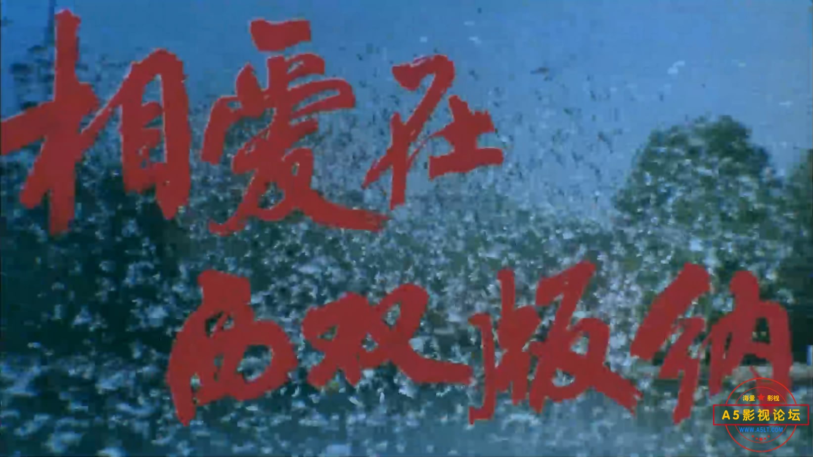 《相爱在西双版纳》（云南199[00_02_01][20221205-161034-1].JPG
