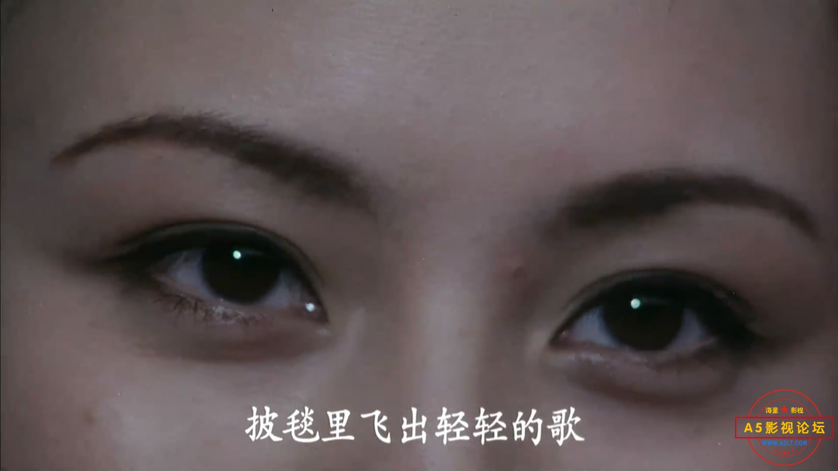 《相爱在西双版纳》（云南199[00_14_15][20221205-161138-8].JPG