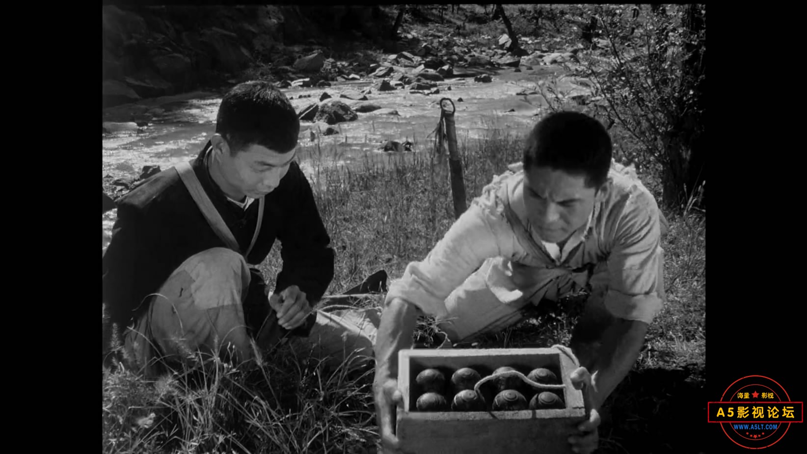 《地雷战》（八一1962）We[00_20_39][20221205-205605-4].JPG