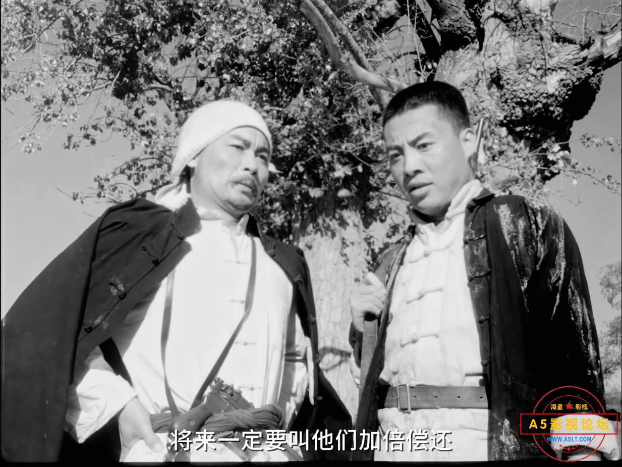 《地道战》（八一1965）We[00_38_23][20221205-210403-8].JPG
