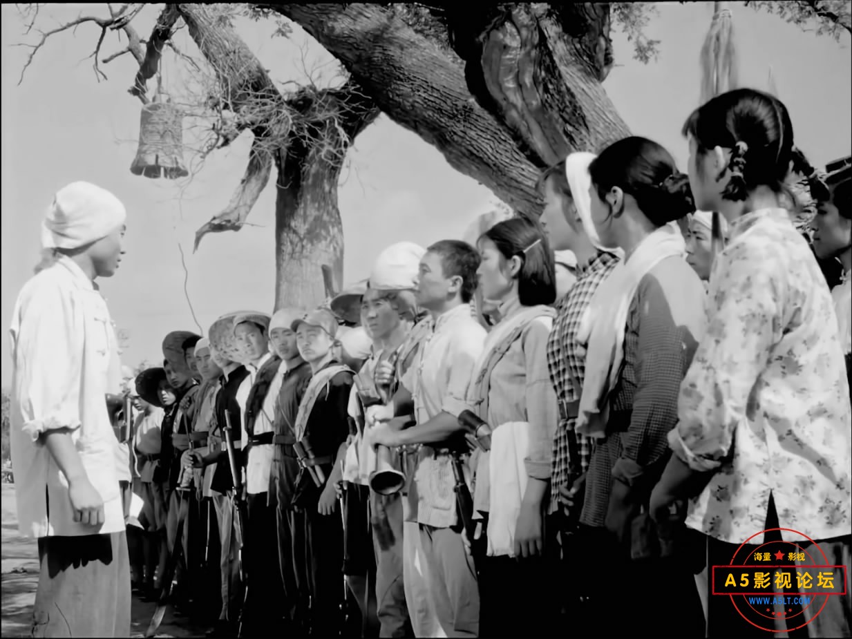 《地道战》（八一1965）We[01_01_08][20221205-210446-1].JPG