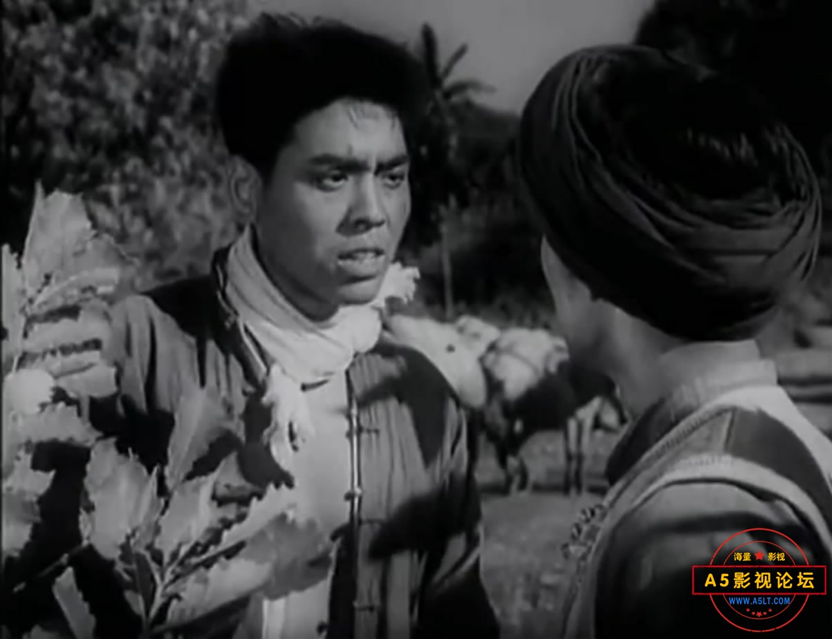 《神秘的旅伴》（长影1955）[00_56_50][20221206-074922-9].JPG