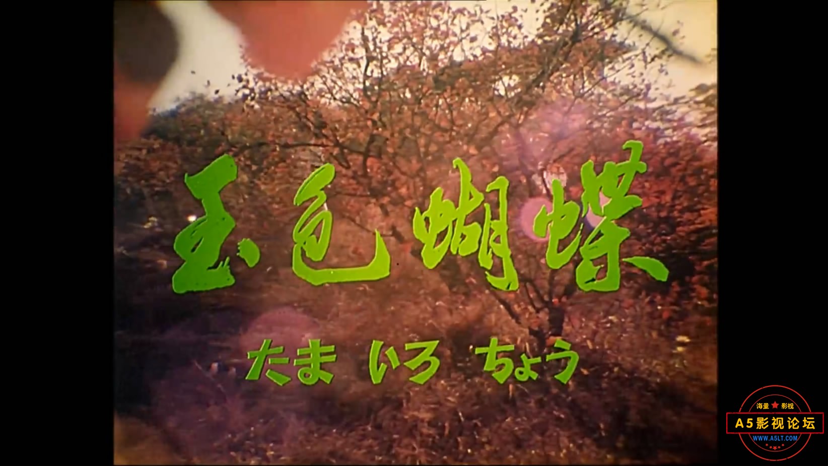 《玉色蝴蝶》（峨影1980）W[00_00_42][20221206-110636-1].JPG