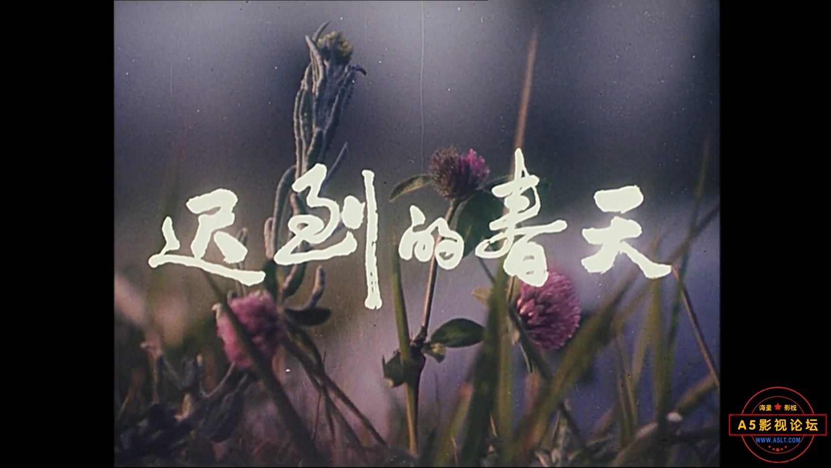 《迟到的春天》（峨影1980）[00_01_19][20221206-112316-1].JPG