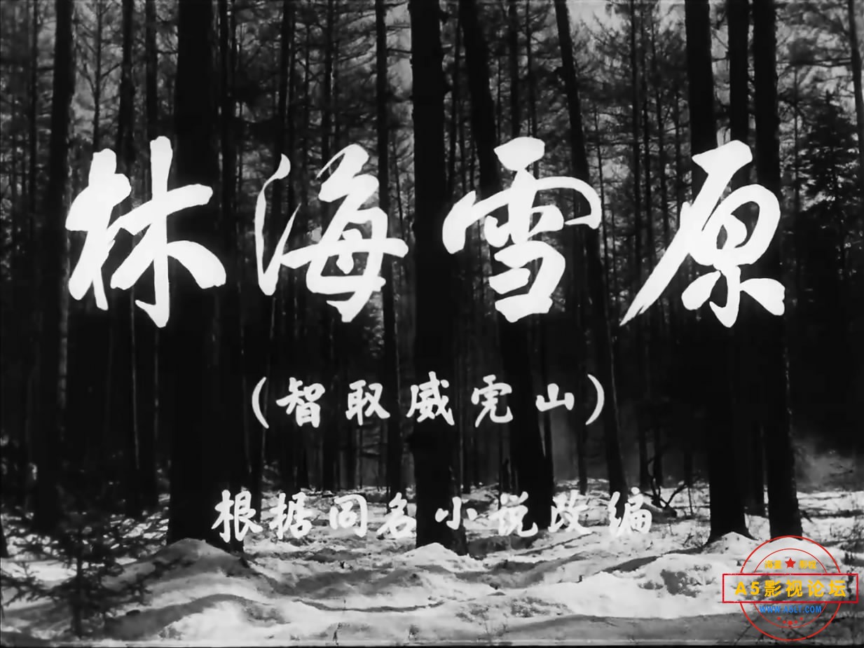 《林海雪原》（八一1960）W[00_01_35][20221207-191226-2].JPG