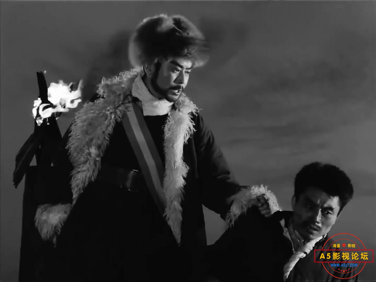 《林海雪原》（八一1960）W[01_48_01][20221207-191752-4].JPG