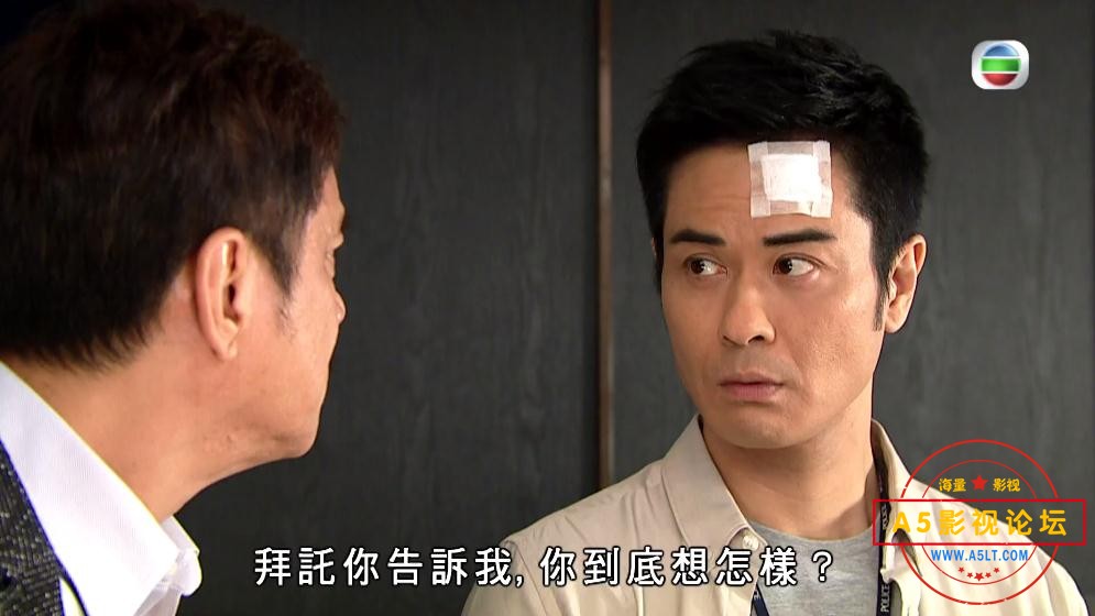 电视剧tvb剧迷网盘资源,