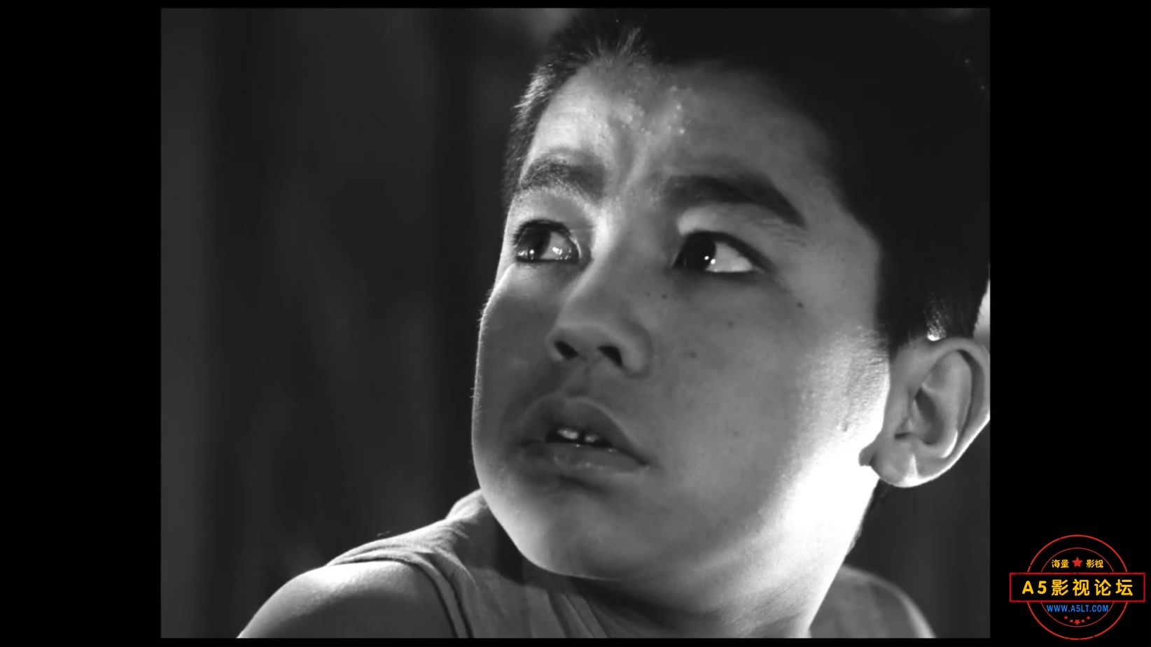 《小兵张嘎》（北影1963）W[00_13_02][20221209-120953-3].JPG