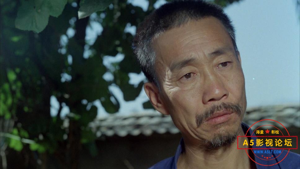 两对半百度网盘下载