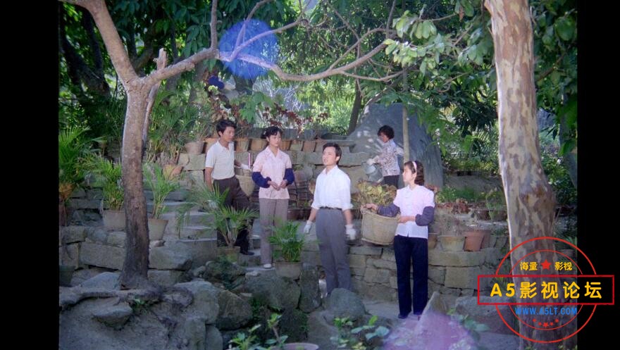 电影苦果下载