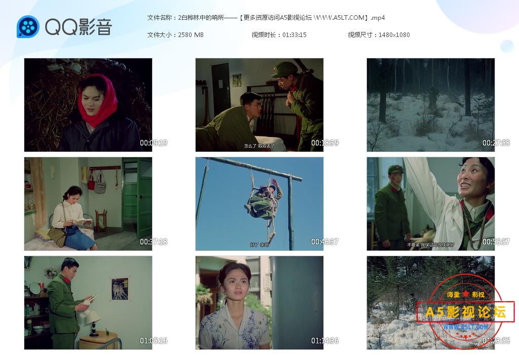 老电影白桦林中的哨所迅雷云盘下载