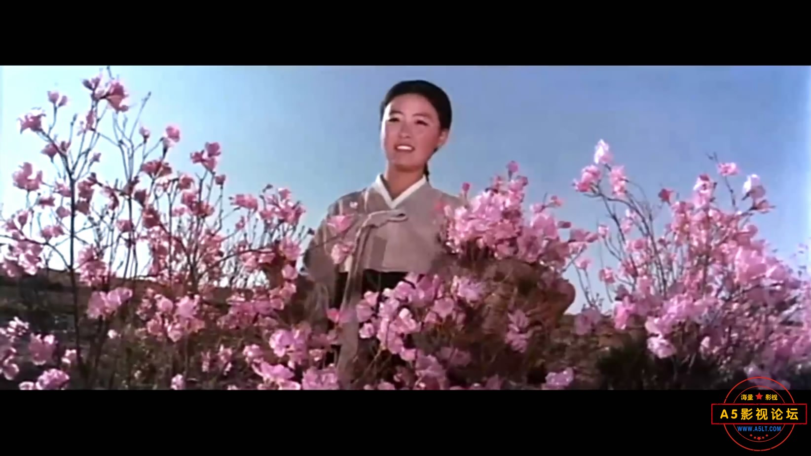 卖花姑娘[00_01_40][20221215-183733-4].JPG