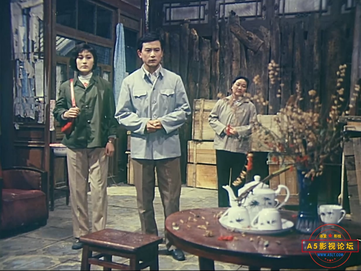 《不是为了爱情》（峨影1980[00_13_33][20221217-054950-5].JPG