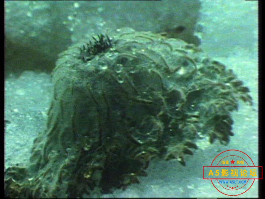 14话说长江——【更多资源访问A5影视论坛 WWW.A5LT.COM】 (2).jpg