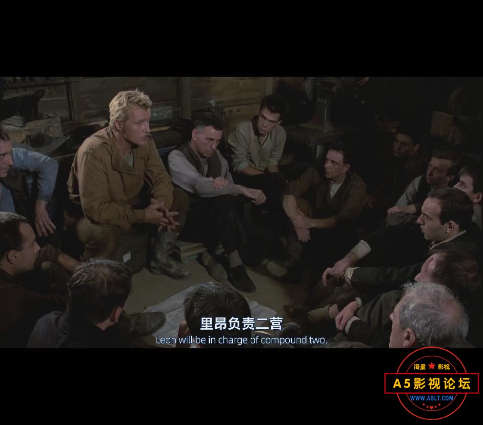 电影逃离索比堡网盘下载