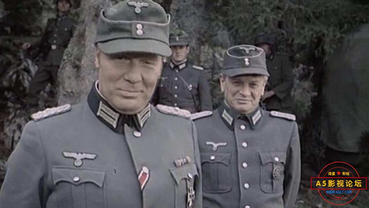 Vrhovi Zelengore.jpg