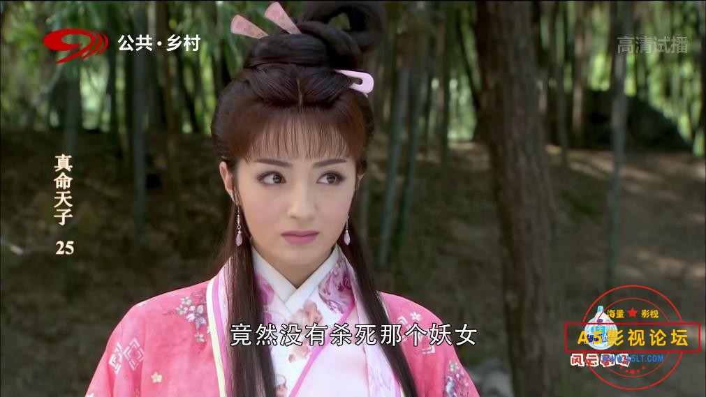 电视剧真命天子云资源
