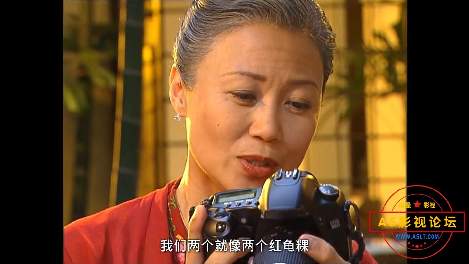 电视剧小娘惹云资源