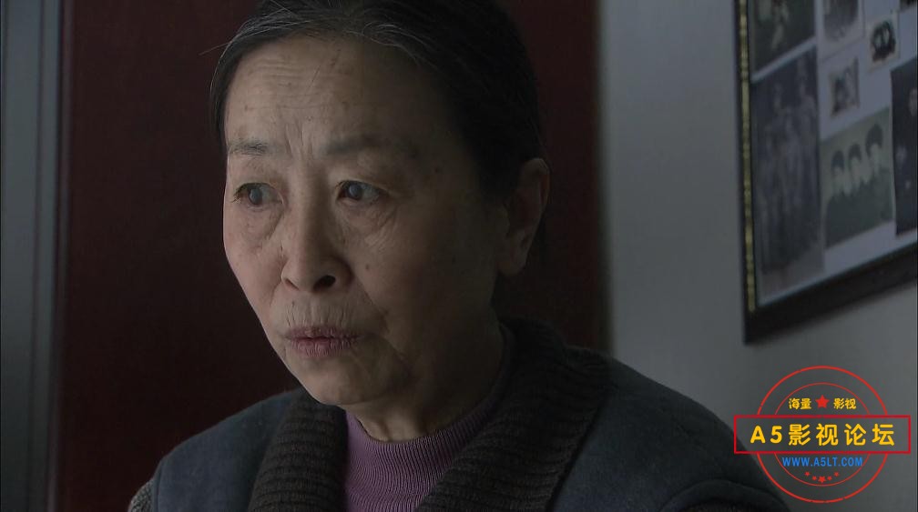 电视剧何处是我家下载