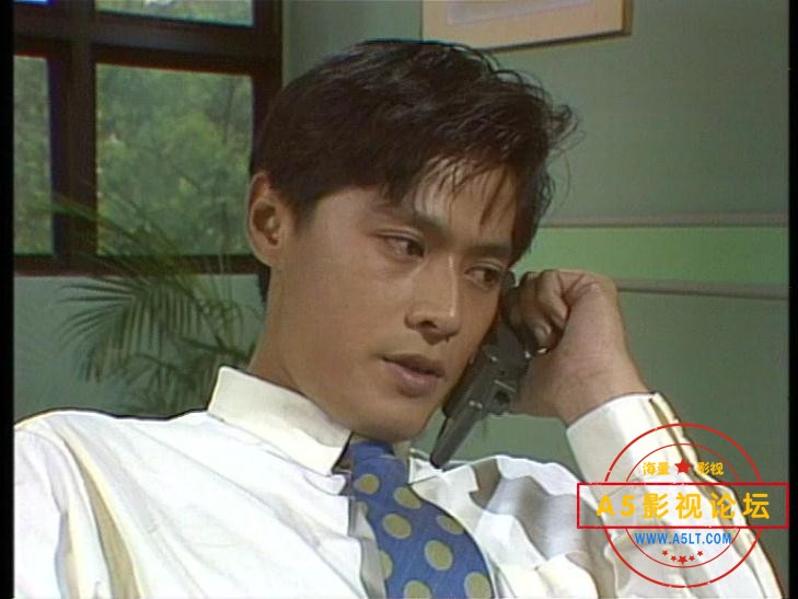 电视剧迷离夜网盘资源