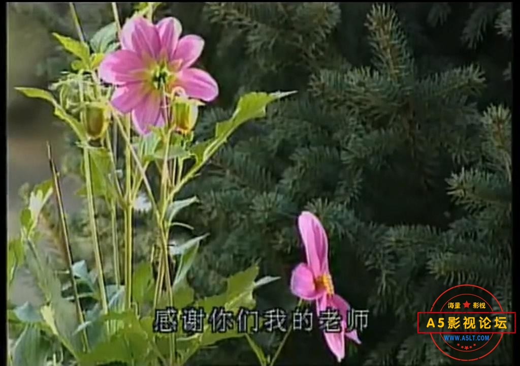 怪王外传.P06.720P_20230316145301.JPG