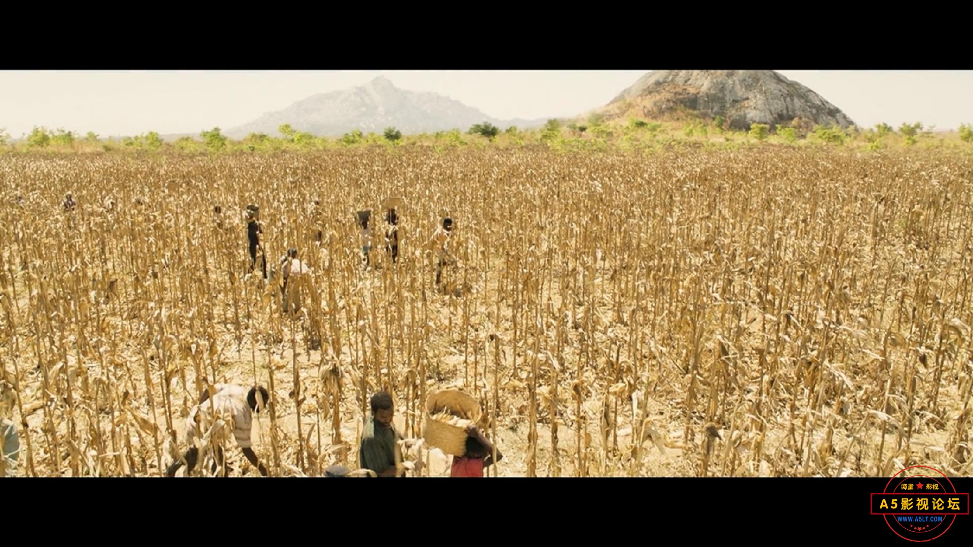 The.Boy.Who.Harnessed.the.Wind.2019.1080p.NF.WEB-DL.DDP5.1.x264-NTG_20230321232141.JPG