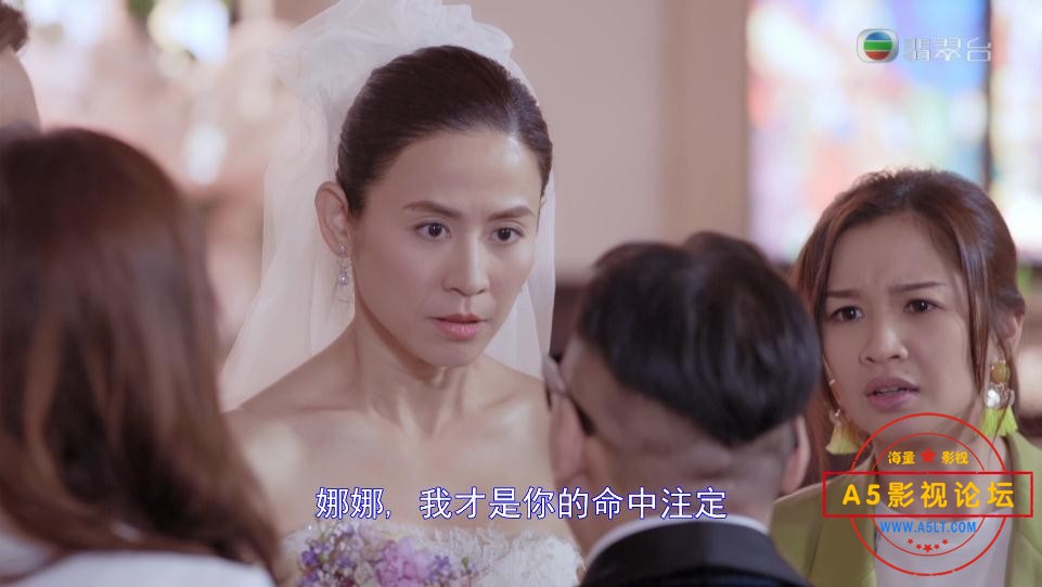 TVB剧陀枪师姐2021粤语下载