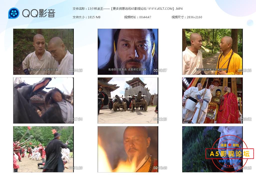 电视剧少林武王迅雷云盘下载