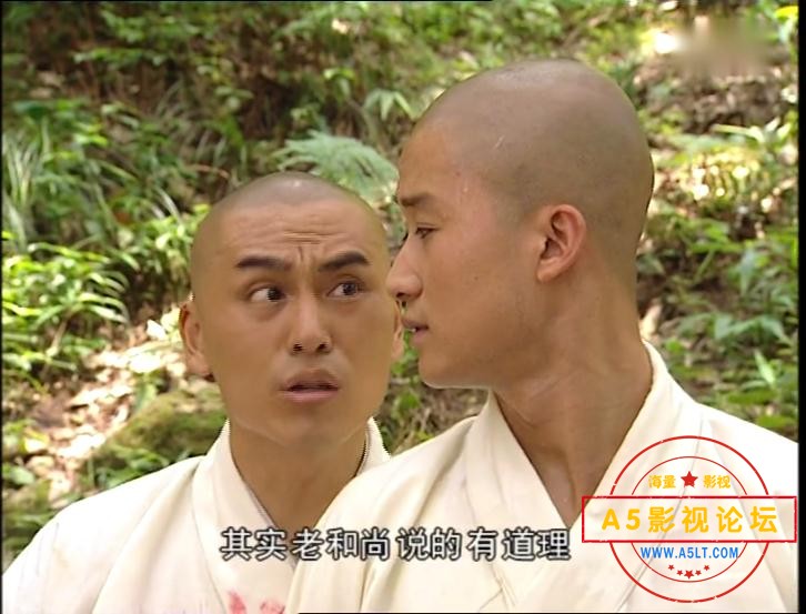 电视剧少林武王下载
