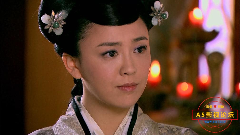 电视剧陆贞传奇下载