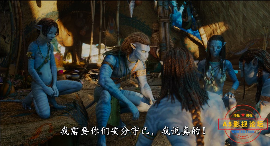 QQ图片20230328141642.jpg