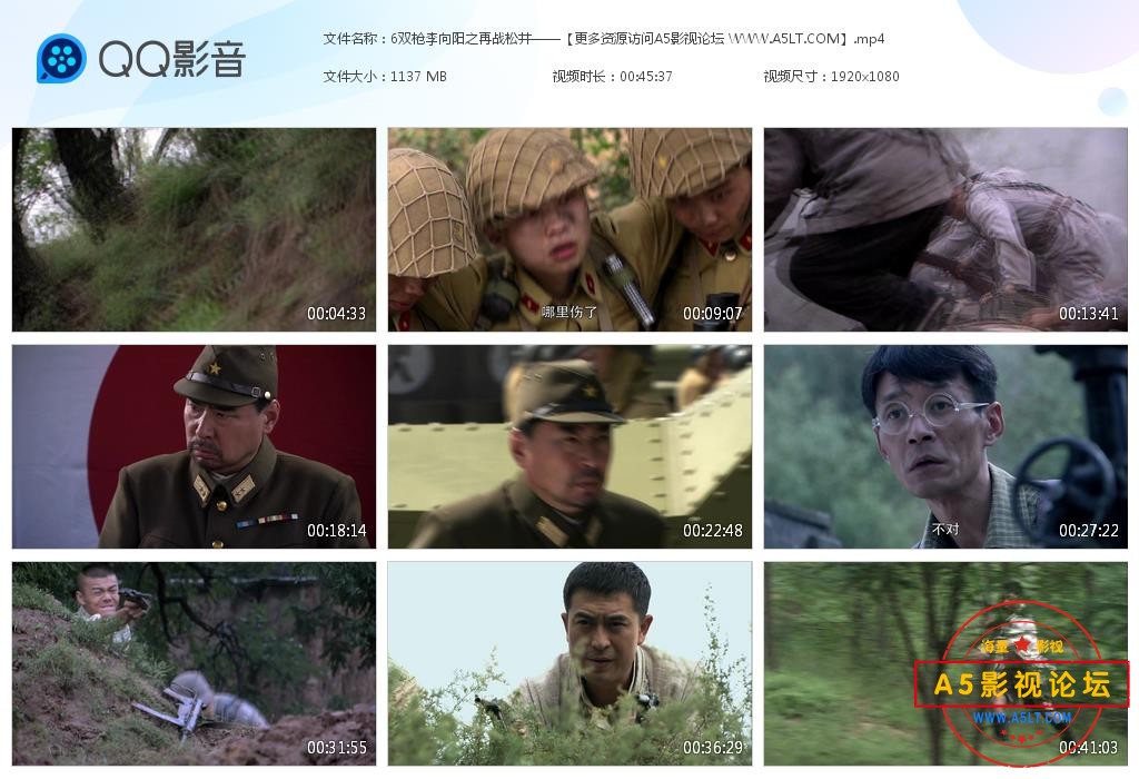 双枪李向阳网盘下载