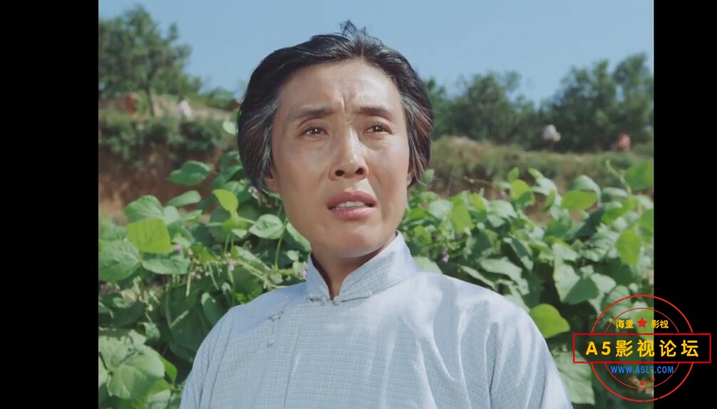 电影喜盈门下载,