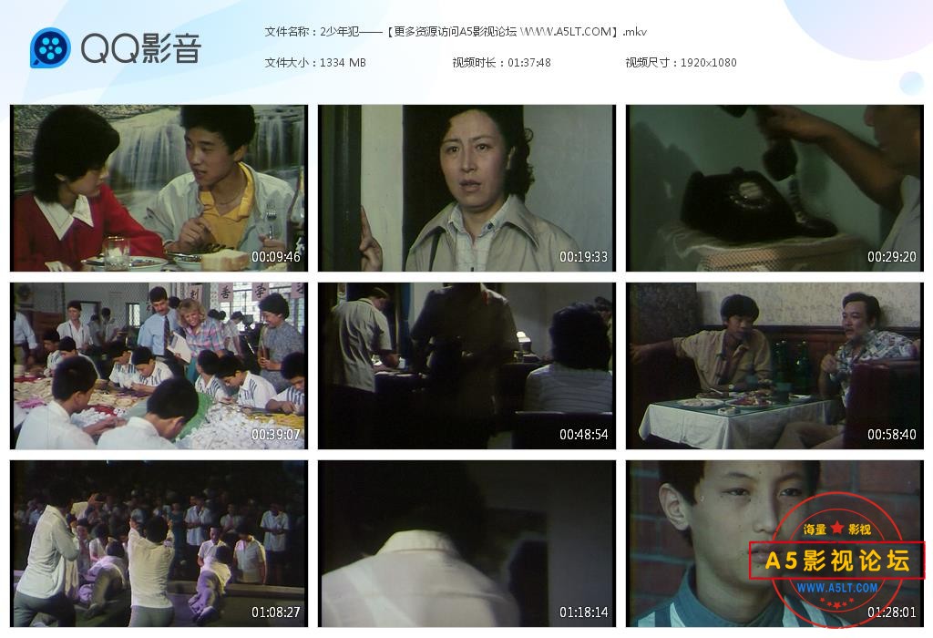 电影少年犯下载
