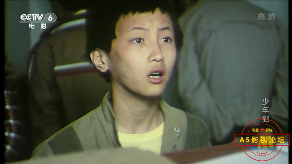 电影少年犯下载,