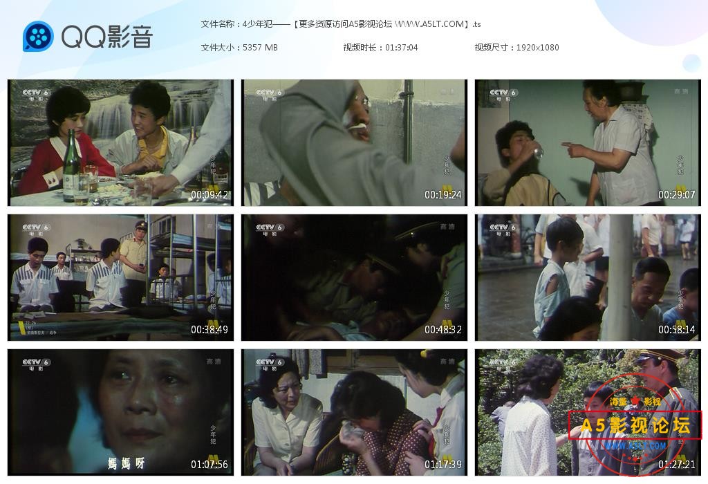 ,电影少年犯迅雷下载