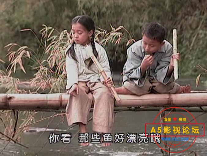 汪洋中的一条船.E07_20230401205153.JPG