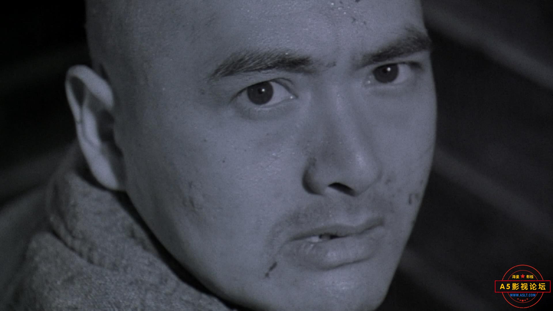 Peace.Hotel.1995.CHINESE.1080p.BluRay.x264.DTS-PTer (1)_20230411164232.JPG