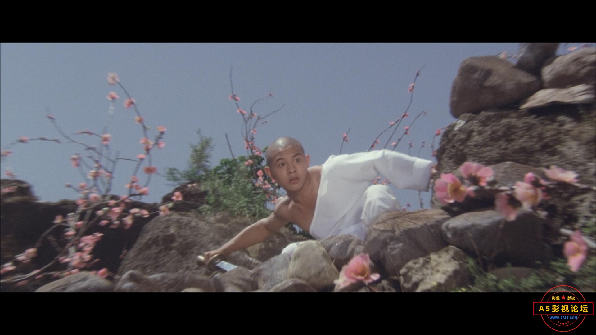 1982.少林寺.[Shao Lin tzu].[李连杰&amp;于海].[国粤日三音轨][简体中文].1080P_202304.jpg