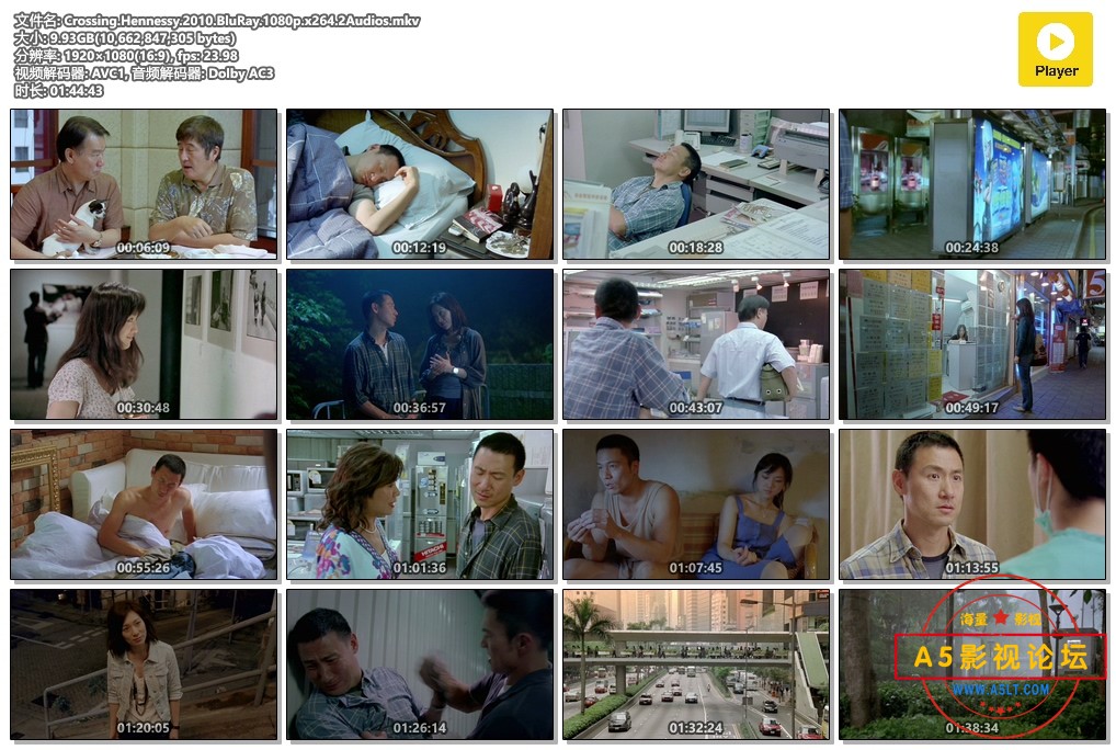 Crossing.Hennessy.2010.BluRay.1080p.x264.2Audios.mkv.jpg