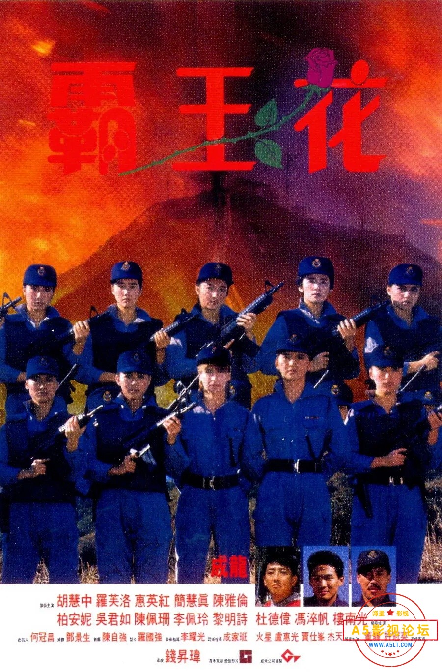 14199327.jpg