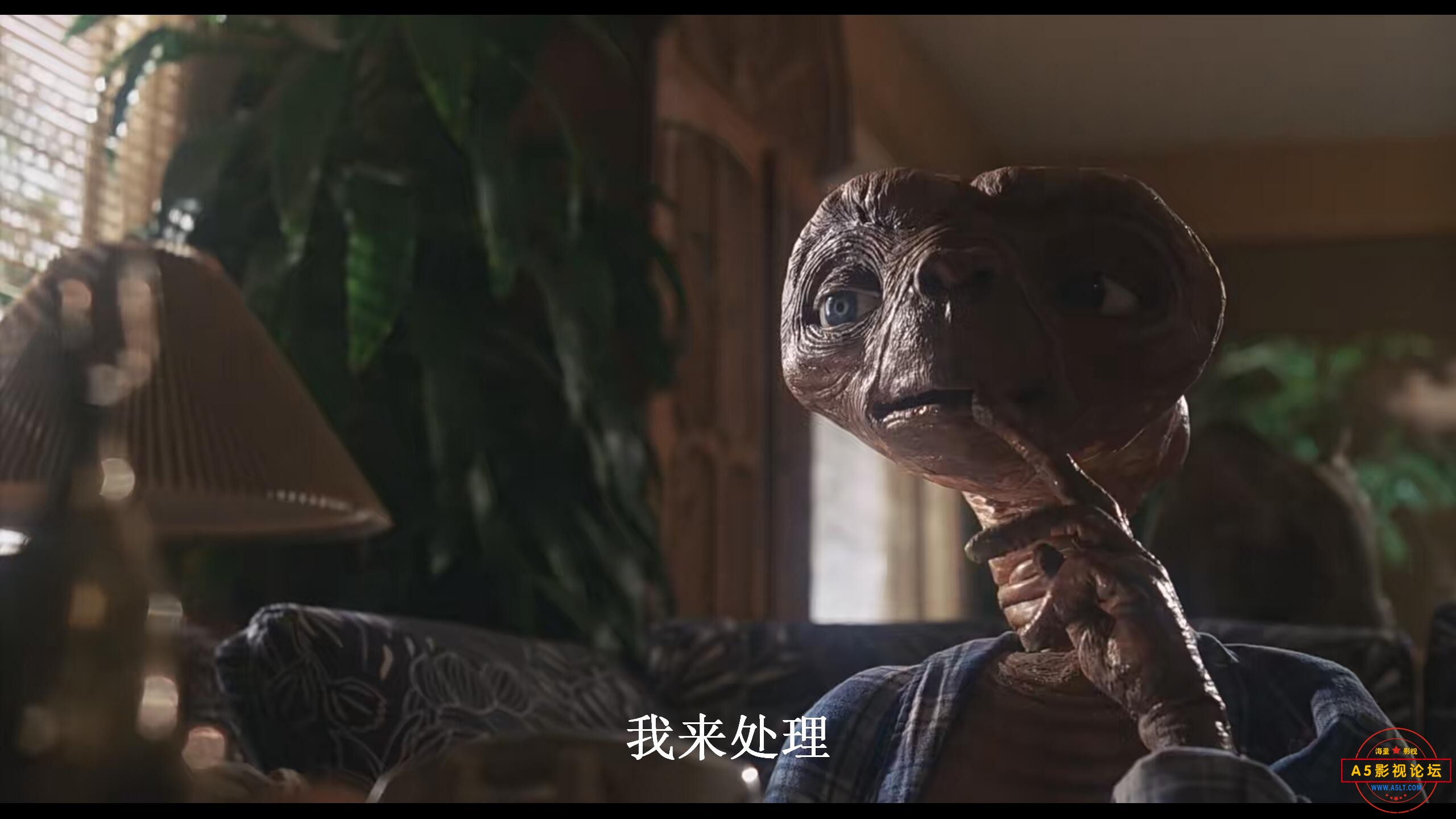 QQ图片20230517103442.jpg