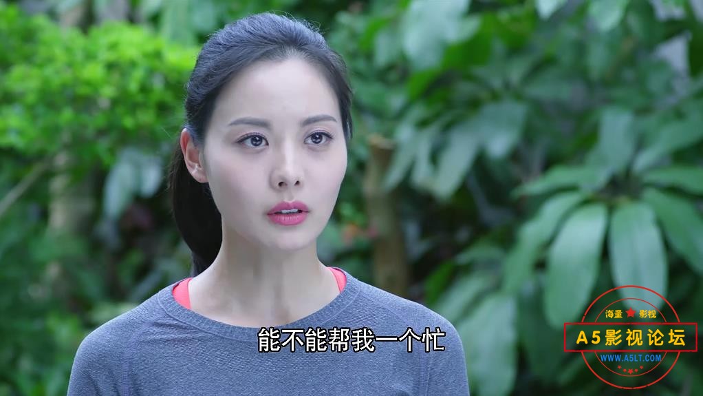 电视剧梅花儿香网盘下载